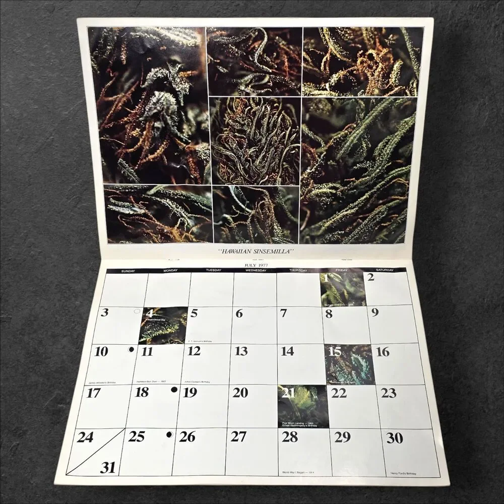 1977 Connoisseur's Cannabis Calendar Limited Edition Suitable Framing Clean